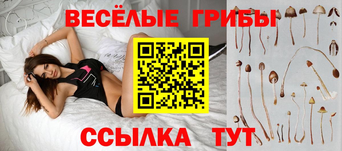 Псилоцибиновые грибы прущие грибы Саянск
