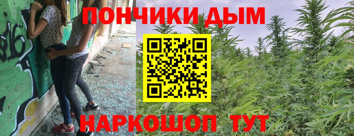 Бошки Шишки план  Вход с VPN  Конопля Bruce Banner  Саянск 